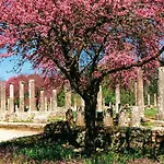 Villa Serenis *